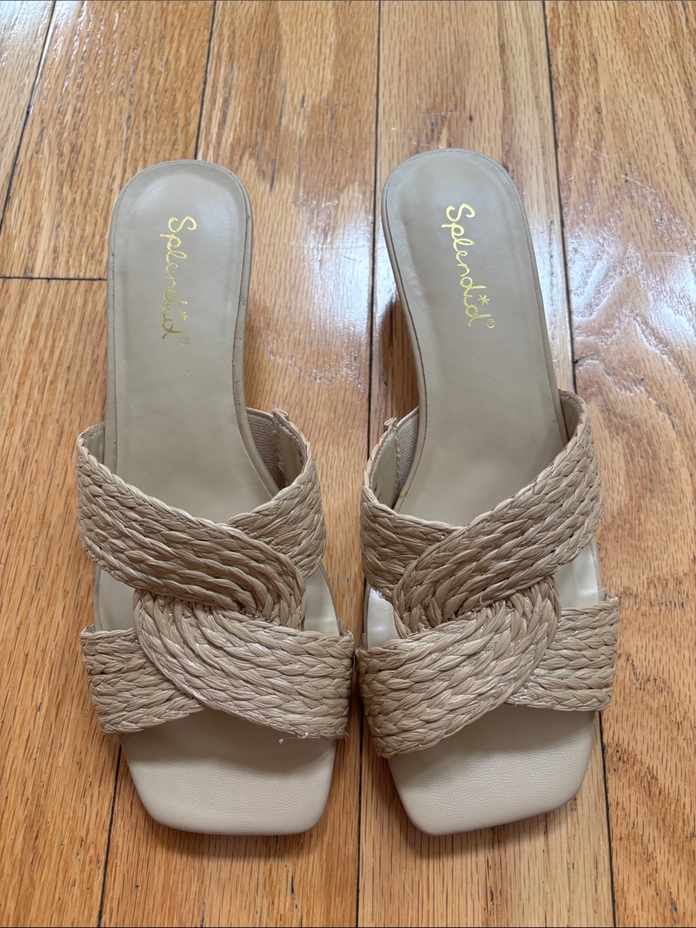 Splendid Beige Braided Slide Mules